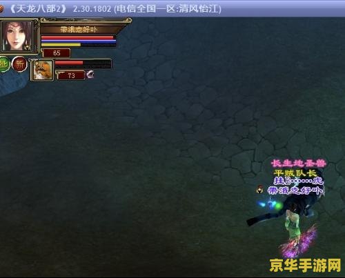 天龙八部逍遥怎么加点 天龙八部逍遥加点策略分析