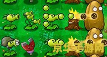 游戏 植物大战僵尸 植物大战僵尸：策略与智慧的较量