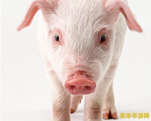 原神什么猪 原神中的野猪：探索与狩猎的趣味