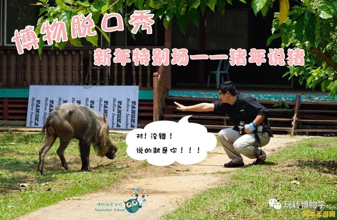 原神猪多的地方 原神中猪群繁盛的秘境探索