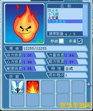 大话水浒浪子加点 大话水浒浪子加点攻略