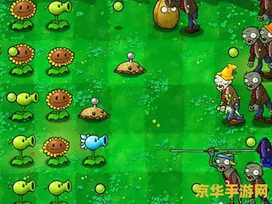 植物大战僵尸 音乐 植物大战僵尸音乐赏析与游戏魅力