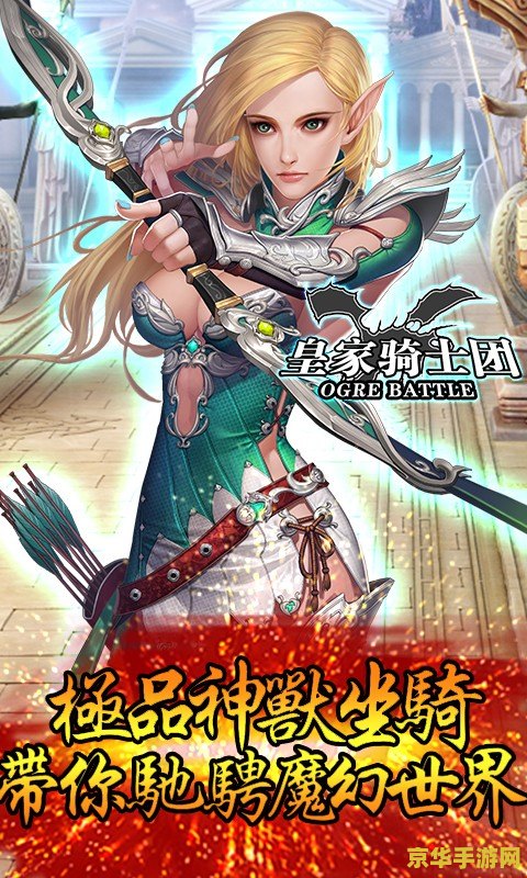 皇家骑士团 皇家骑士团：荣耀与传奇的交织