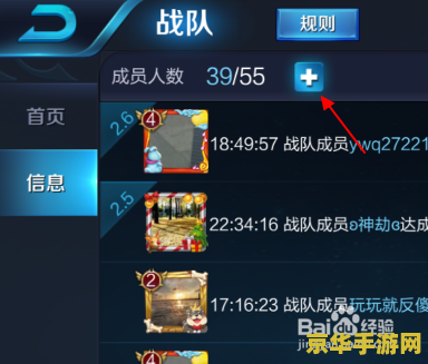 王者荣耀点券怎么成vip 王者荣耀点券与VIP等级解析