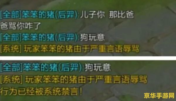 王者荣耀对方骂人不怎么申诉 王者荣耀中遭遇辱骂，如何有效申诉？