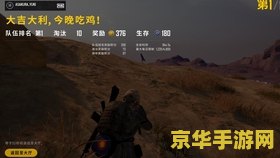 绝地求生国服 绝地求生国服：生存之战，荣耀之巅