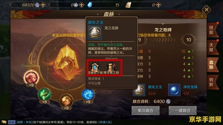 dnf 宝珠 DNF宝珠系统深度解析