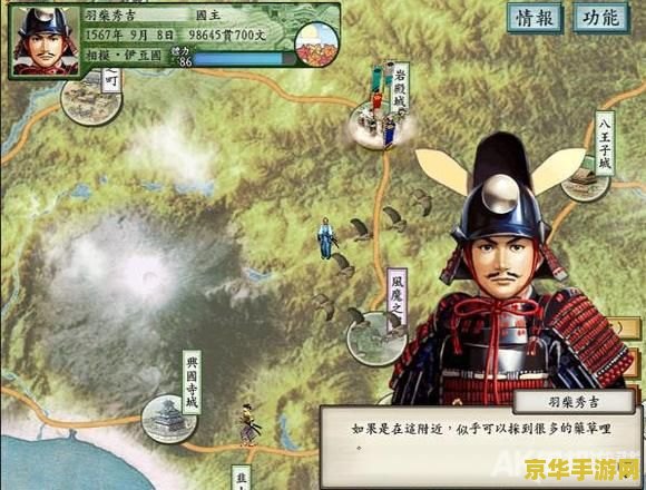 太阁立志传5攻略 太阁立志传5深度攻略：解锁战国霸业之路