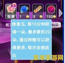 炫舞怎么献花 炫舞中如何优雅地献花