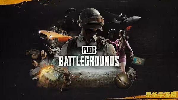 pubg绝地求生 国际服 PUBG绝地求生：国际服战场风云