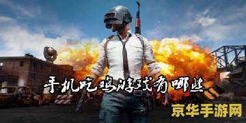 绝地求生:刺激战场(国际服) 绝地求生：刺激战场（国际版）——战场生存与竞技的极致体验