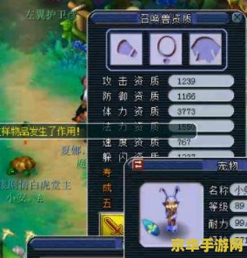 梦幻西游雷鸟人饰品 梦幻西游雷鸟人饰品：神秘力量的象征与获取攻略