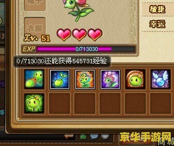 弹弹堂宠物精华液 弹弹堂：揭秘宠物精华液的神奇力量