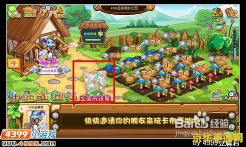 卡布西游神明果在哪 卡布西游神明果探寻之旅