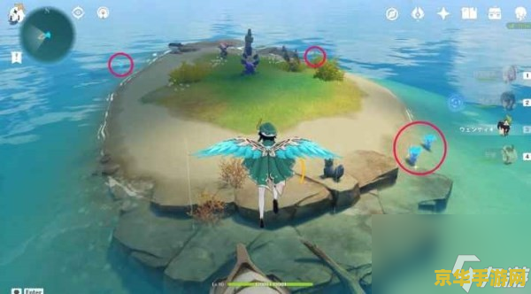 原神海灵芝最新采集路线 原神海灵芝最新采集路线详解
