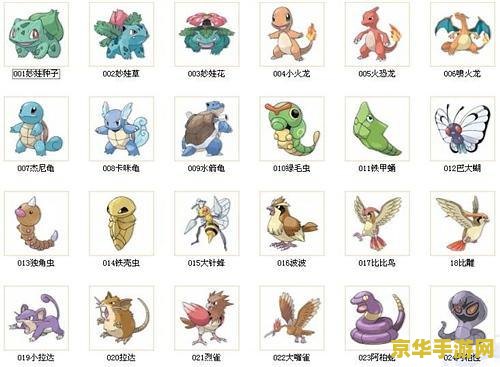 宠物小精灵黑白图鉴 宠物小精灵黑白图鉴深度解析