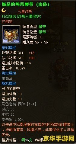 御龙在天装备签名 御龙在天：装备签名——彰显个性与荣耀的战场印记