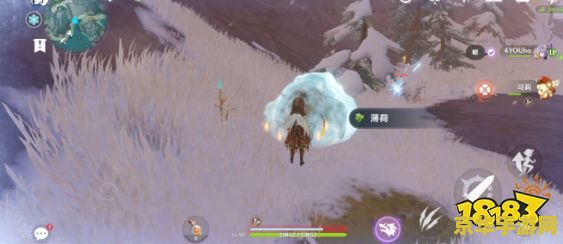 原神冷鲜肉在哪里采集 原神冷鲜肉采集地点详解