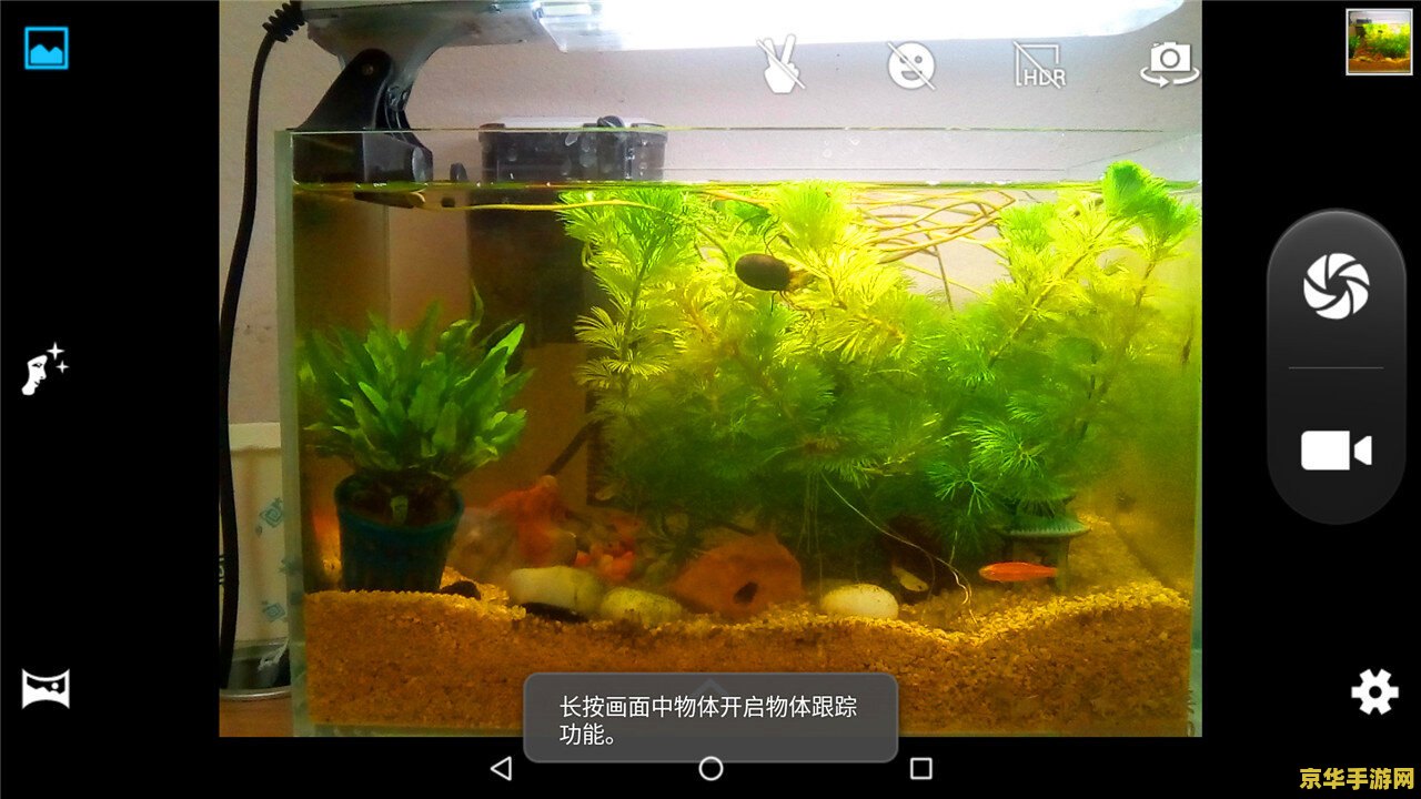 王者荣耀怎么显示在电脑 王者荣耀如何在电脑上畅玩