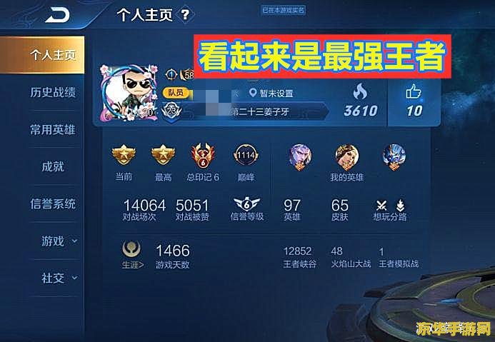 王者荣耀假场数胜率怎么写 王者荣耀假场数胜率揭秘与影响分析