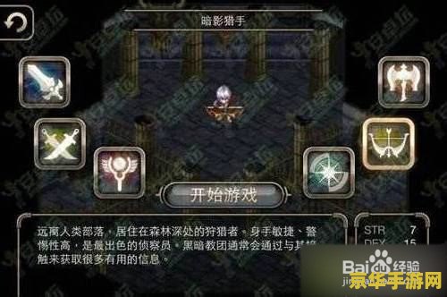 艾诺迪亚3刺客攻略 艾诺迪亚3刺客深度攻略：暗影中的致命舞者