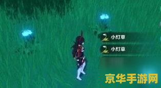 原神哪里能买到小灯草 原神中小灯草的购买地点与游戏应用