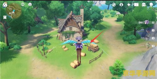 原神里面怎么寻找白萝卜 原神中如何高效寻找白萝卜