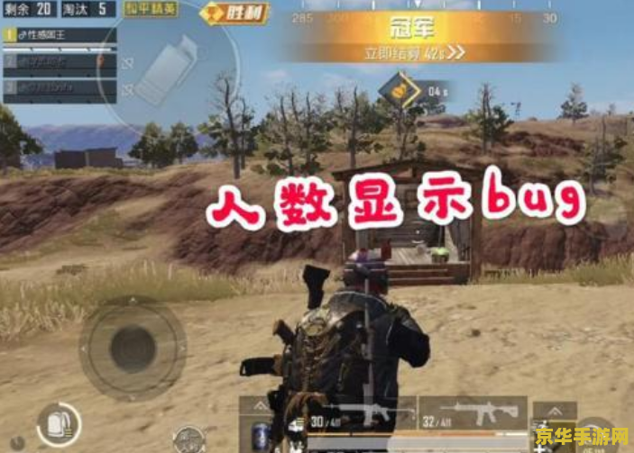 大冲锋bug 大冲锋中的Bug问题及其影响分析