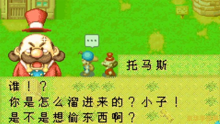 牧场物语矿石镇的伙伴们力之果实 牧场物语：矿石镇的伙伴们——探寻力之果实的奥秘