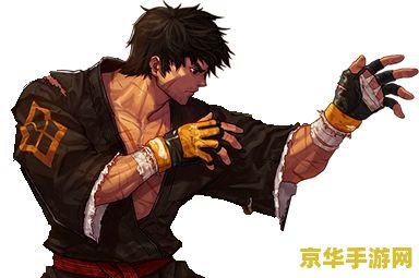 dnf男柔道武器 DNF男柔道武器选择与深度分析