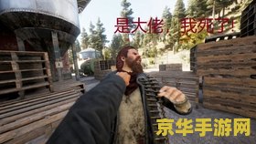 孤岛惊魂5 孤岛惊魂5：自由与信仰的终极碰撞