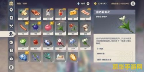 原神风本等级 原神风本等级攻略：解锁风之秘境，提升角色实力