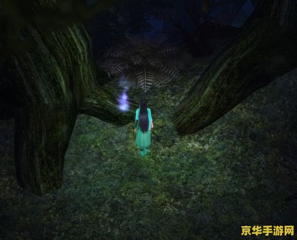 仙剑奇侠传5前传雾荫谷 雾荫谷探秘：仙剑奇侠传5前传中的奇幻之旅