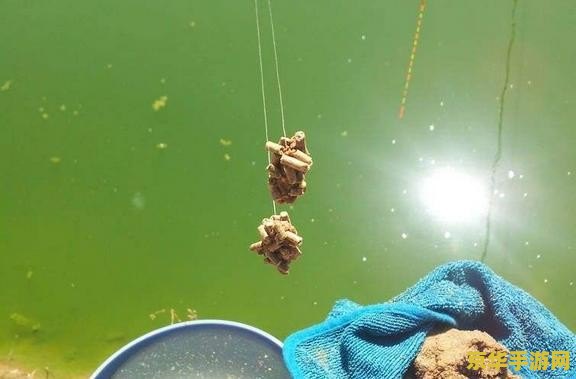 原神钓鱼总是失败 原神钓鱼技巧大揭秘：为何你总是失败？