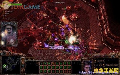 星际争霸1秘籍 星际争霸1秘籍全解析