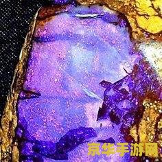 原神紫色的矿石 原神中的紫色瑰宝：夜泊石探索与用途解析
