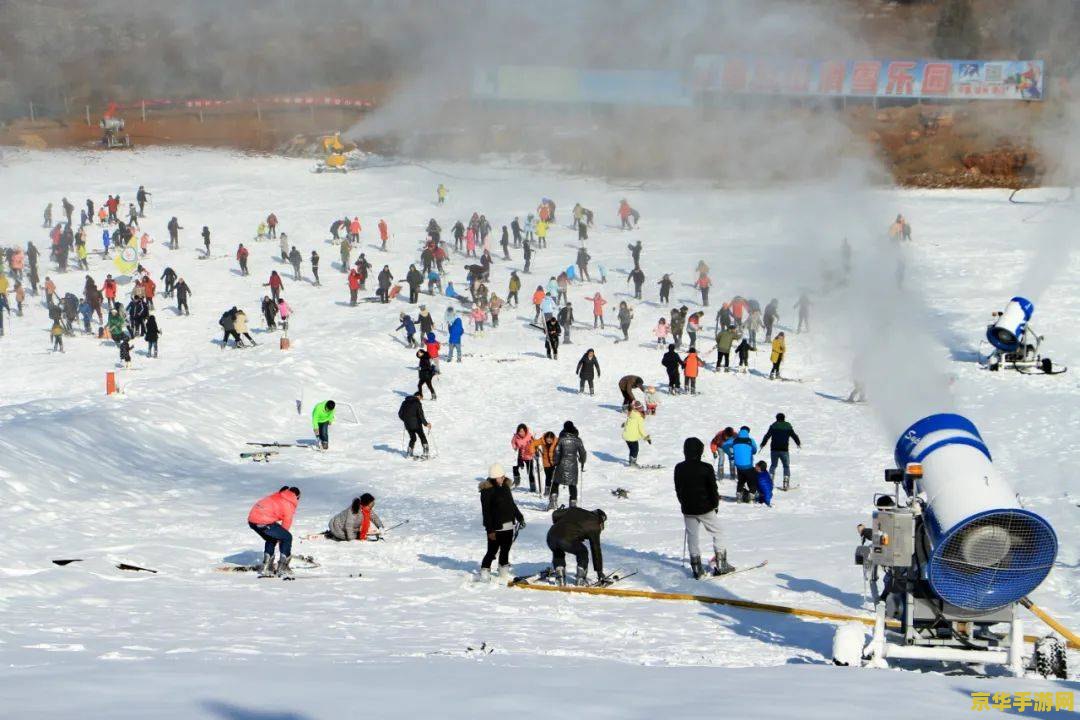 滑雪大冒险修改 滑雪大冒险：极限挑战与创意改造的无限乐趣