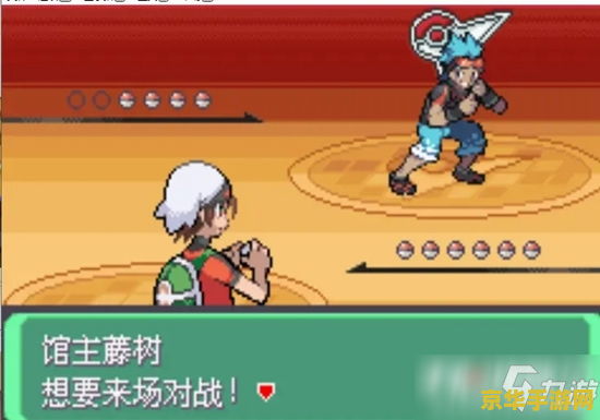 口袋怪兽绿宝石 口袋妖怪绿宝石：探索无限可能的奇幻冒险