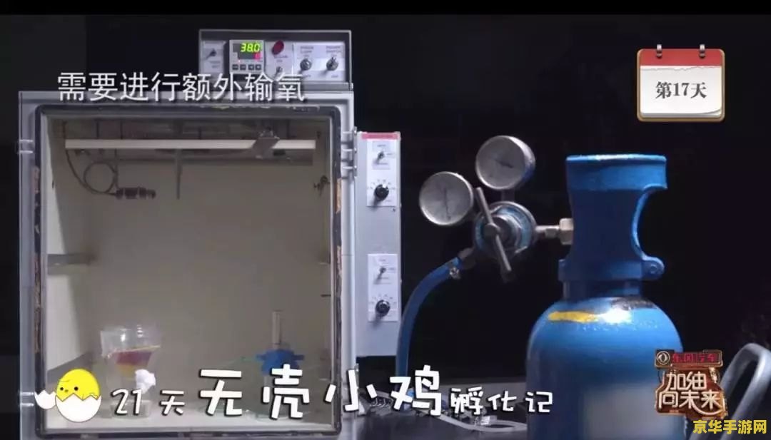 原神水月池继电器解密有个铁门 原神水月池继电器解密：揭秘铁门背后的秘密