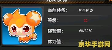 qq飞车宠物经验卡 QQ飞车宠物经验卡：加速成长，驰骋赛道新助力
