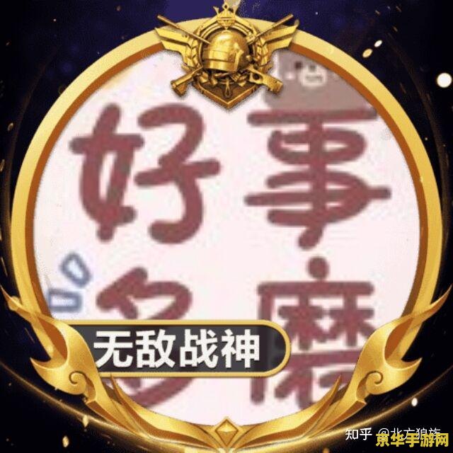 王者荣耀怎么没头像框了 王者荣耀头像框消失之谜及解决方案