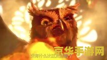 猫头鹰王国守卫者传奇 猫头鹰王国：守卫者传奇