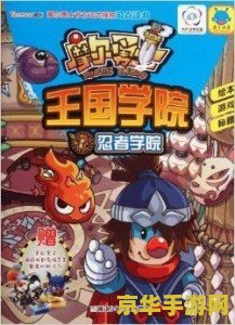 摩尔勇士忍者攻略 摩尔勇士忍者职业深度攻略