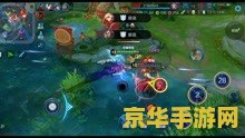 王者荣耀怎么下载皮肤视频教学视频教学视频 王者荣耀皮肤下载与视频教学指南