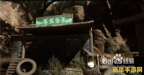 孤岛惊魂2无敌秘籍 孤岛惊魂2：解锁无敌秘籍的深度探索