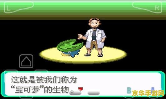 口袋怪兽绿宝石 口袋妖怪绿宝石：探索无限可能的奇幻冒险