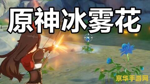 原神的冰雾花在哪有 原神的冰雾花采集指南
