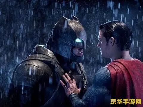 蝙蝠侠与罗宾 蝙蝠侠与罗宾：暗夜双雄的正义传承
