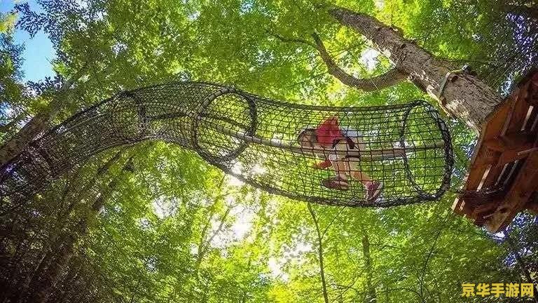 鼎湖山攻略 鼎湖山探险寻宝记：一场自然与趣味的完美邂逅