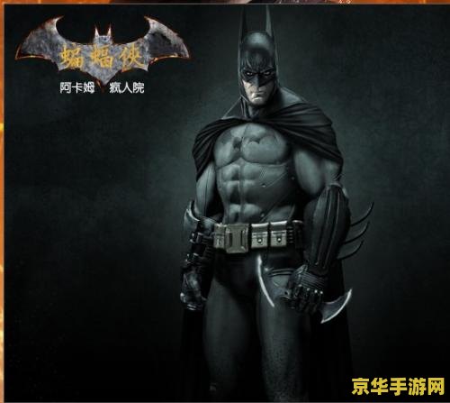 蝙蝠侠之阿卡姆疯人院 蝙蝠侠：阿卡姆疯人院的暗夜迷踪